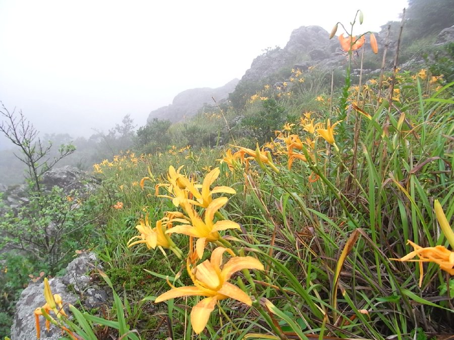 f0187402_20143356.jpg