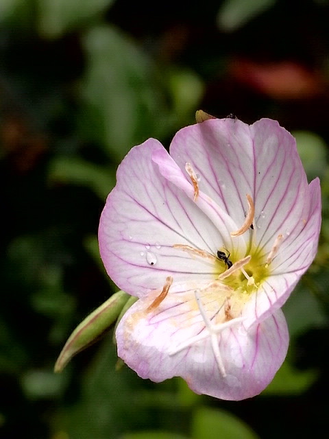 f0163803_22585321.jpg