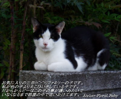 d0001008_8163533.jpg