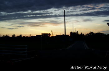 d0001008_819912.jpg