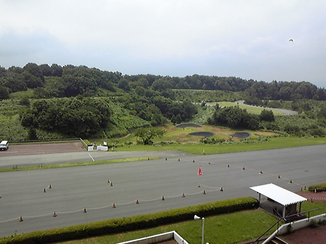 e0015108_81418.jpg