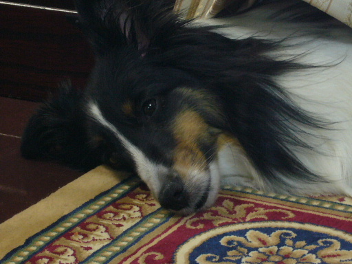 e0130008_19112646.jpg