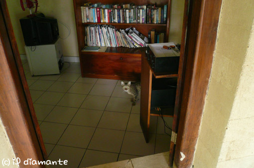 e0071409_18234290.jpg