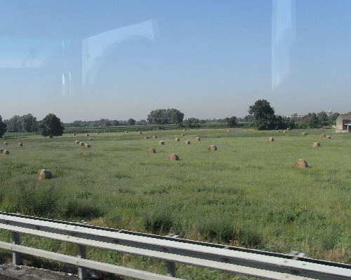 f0006510_0462854.jpg