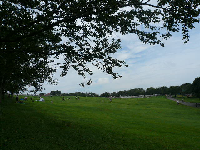 e0138314_155119.jpg