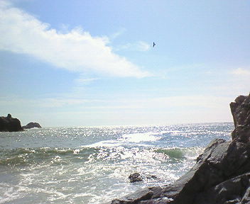 d0013816_21172121.jpg