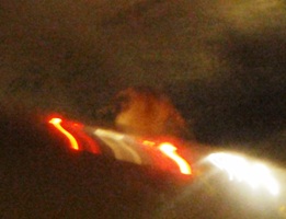 a0043520_1312158.jpg