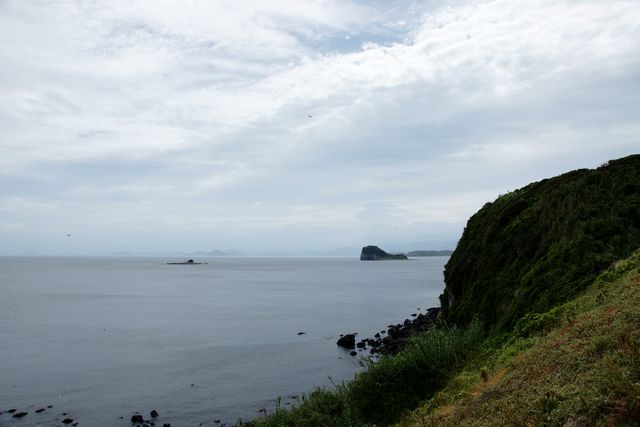 c0124021_20264270.jpg