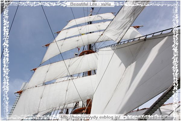 d0005621_155334.jpg
