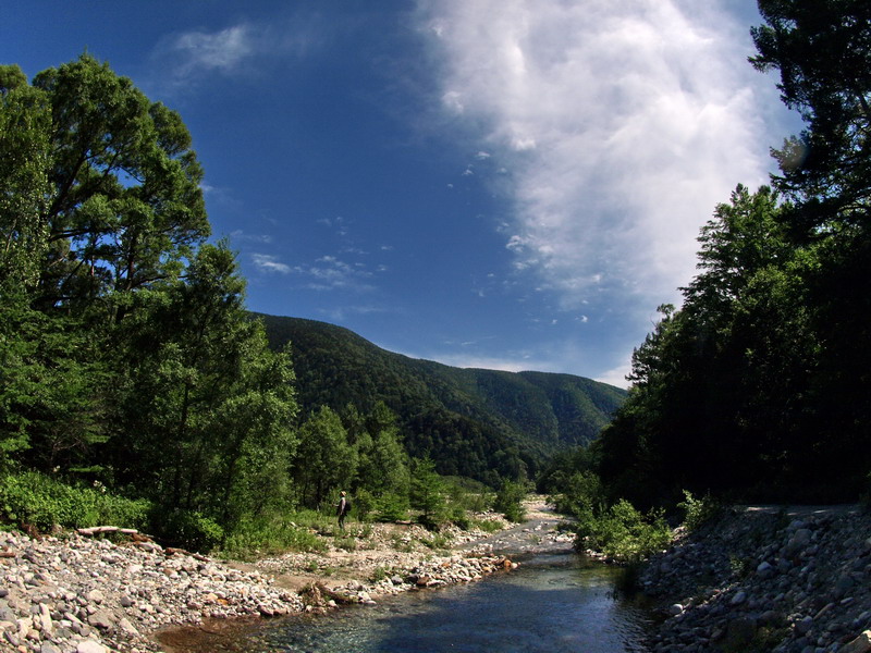d0090322_6344989.jpg