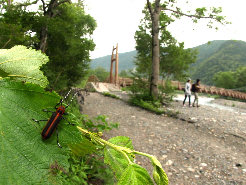 d0090322_636513.jpg