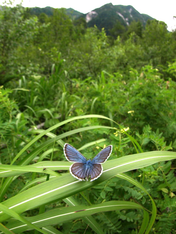 d0090322_6394449.jpg
