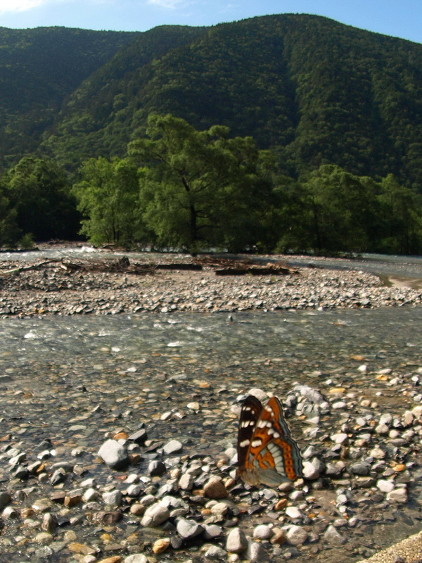 d0090322_639595.jpg