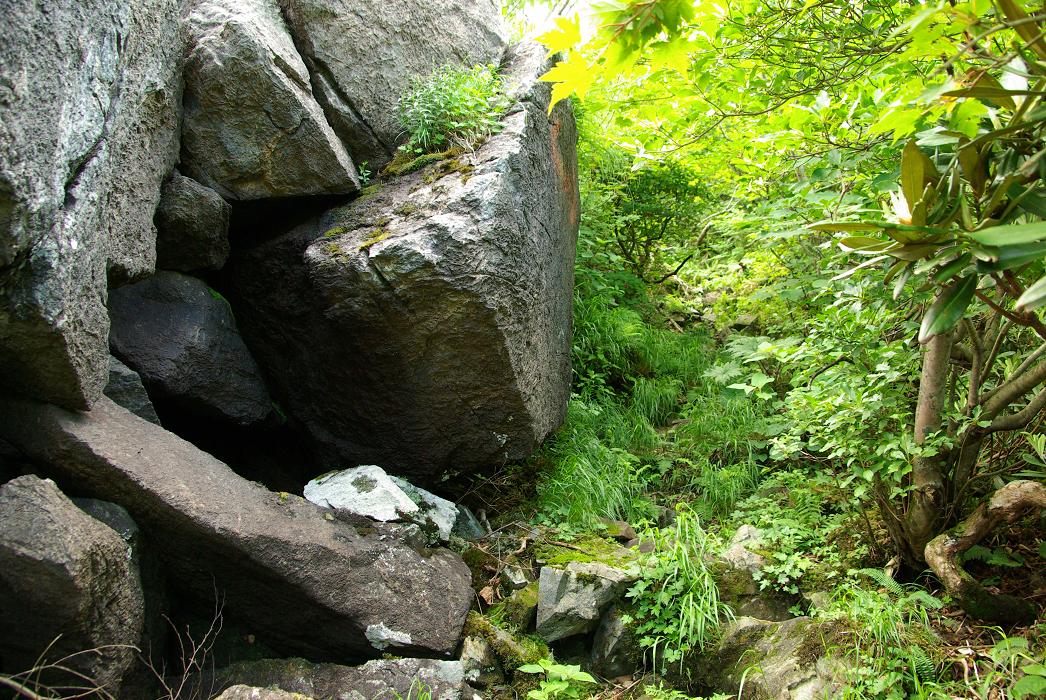 b0062024_020588.jpg