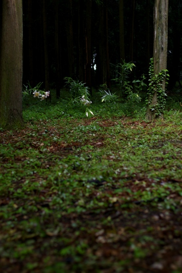 c0107924_21352964.jpg