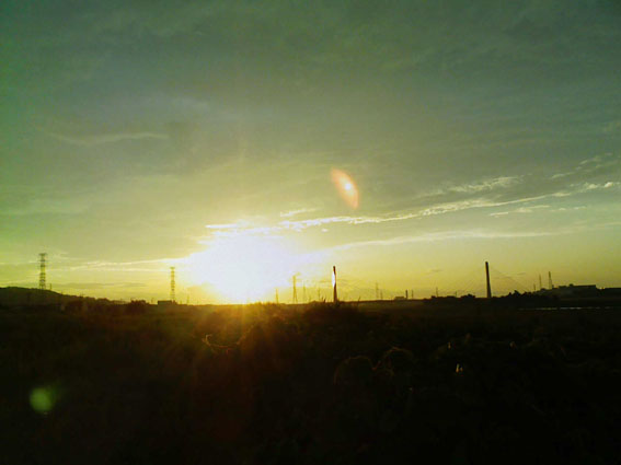 b0178530_1311314.jpg