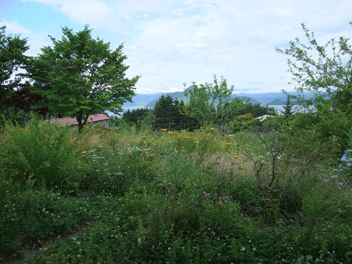 f0045630_1950415.jpg