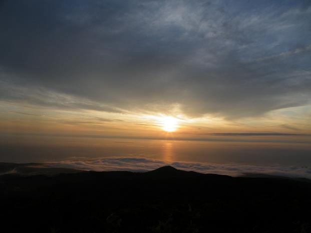 f0118332_17273.jpg