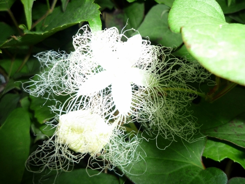 d0037233_9555319.jpg