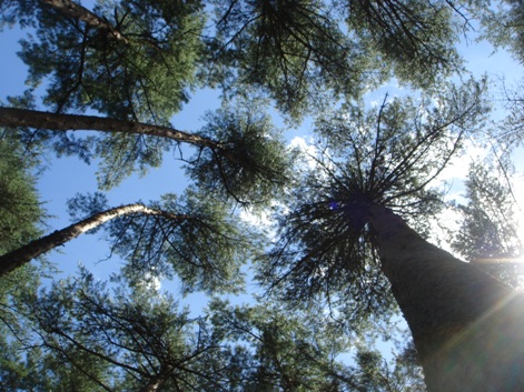 f0088839_10335728.jpg