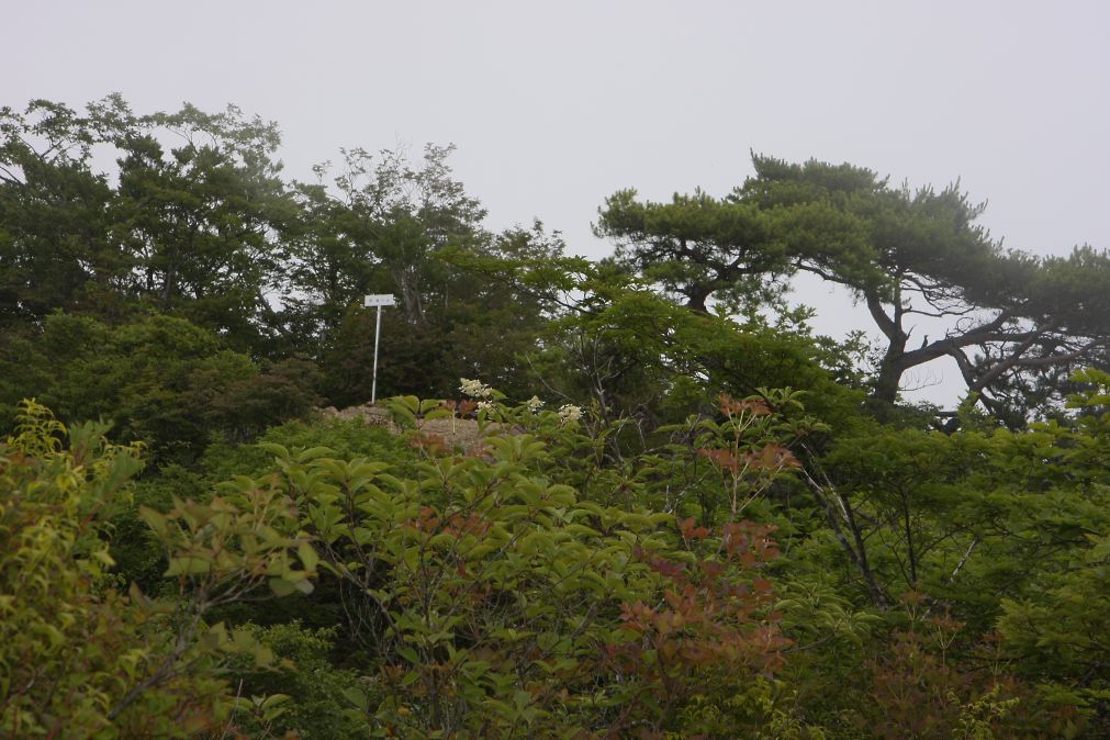 c0008948_17264468.jpg