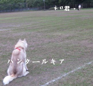 e0121548_21505156.jpg