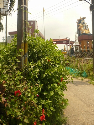 c0185657_2225360.jpg
