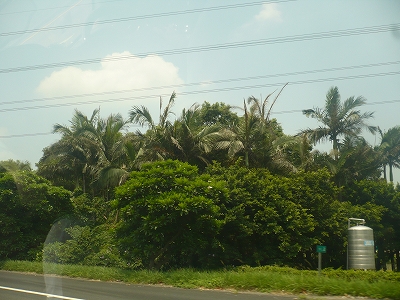 c0185657_2243193.jpg