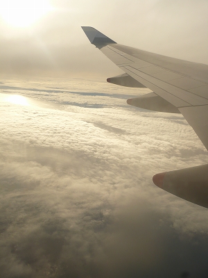 c0185657_22442427.jpg