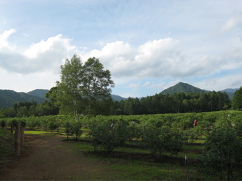 c0153259_9163480.jpg