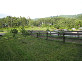 c0153259_9172738.jpg