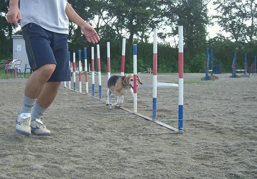 e0007060_2115672.jpg