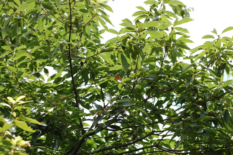b0167762_23244498.jpg