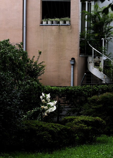 b0131167_1816413.jpg