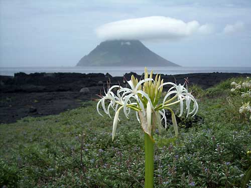e0097770_105283.jpg