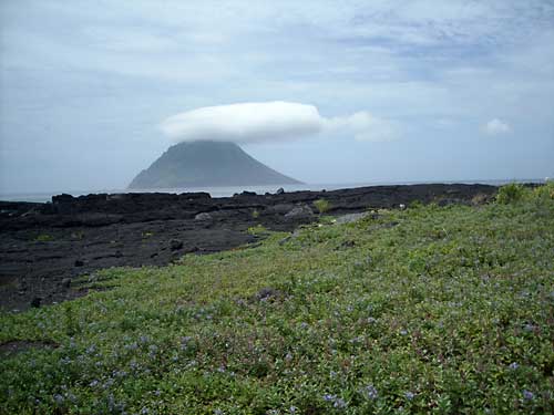 e0097770_113025.jpg