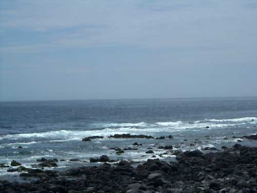 e0097770_114669.jpg