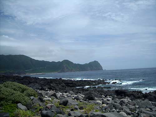 e0097770_12942.jpg