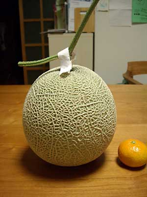 e0097770_20135623.jpg