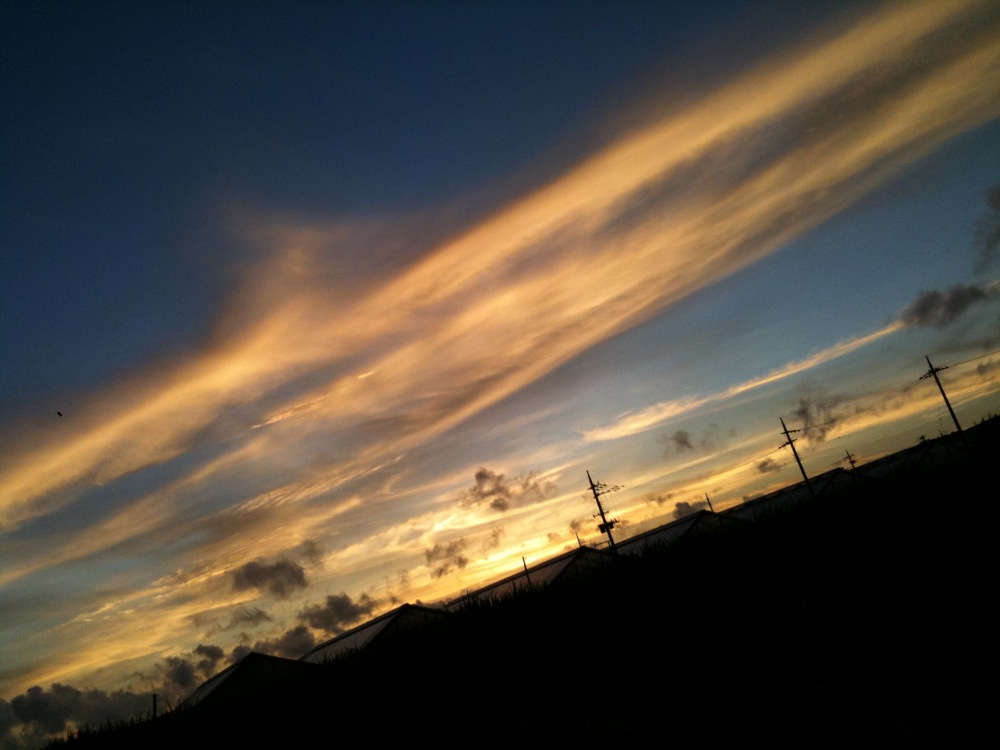 c0132571_16542932.jpg