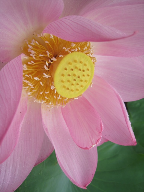 e0114371_045515.jpg