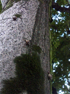 f0140174_15432996.jpg
