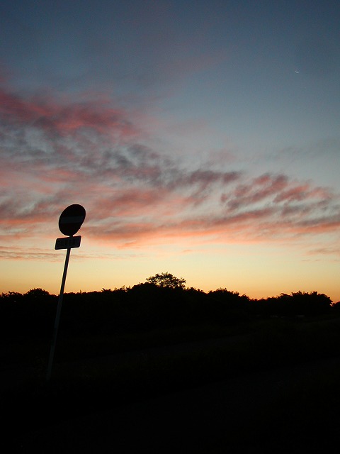 c0131478_21132816.jpg