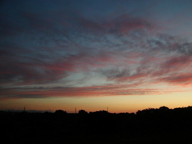 c0131478_2124947.jpg