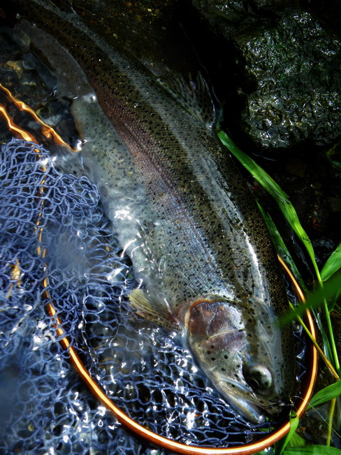 c0197578_0224155.jpg