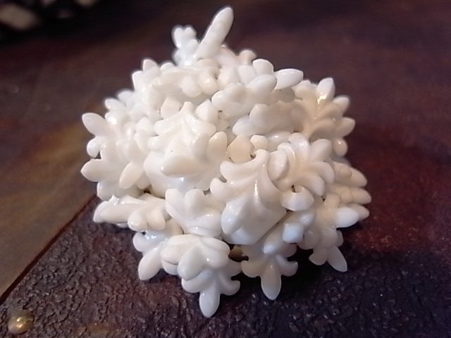 c0158081_13155615.jpg