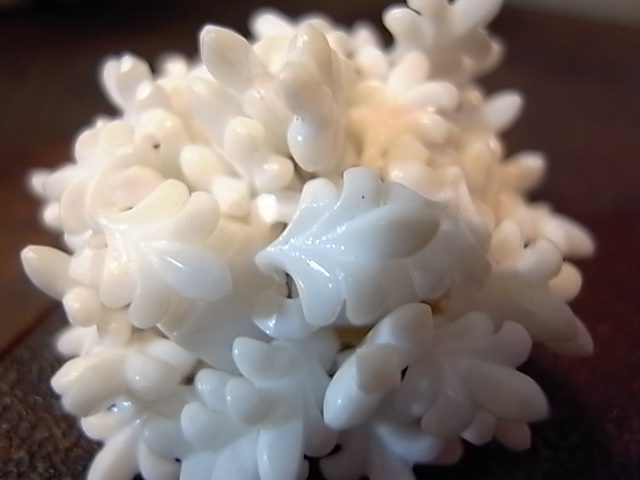 c0158081_1316950.jpg