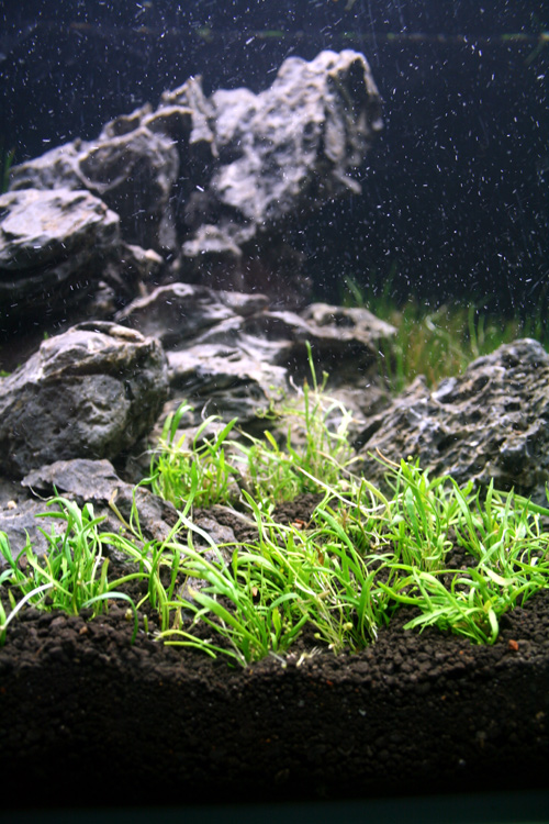 e0018082_2153350.jpg