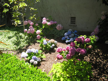 f0068883_14494974.jpg