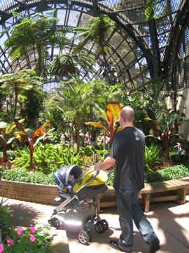 f0068883_1451472.jpg